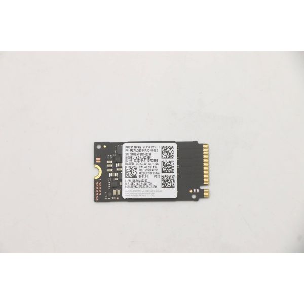 Lenovo 5SS0V42253 internal solid state drive 256 GB M.2 PCI Express (5SS0V42253)