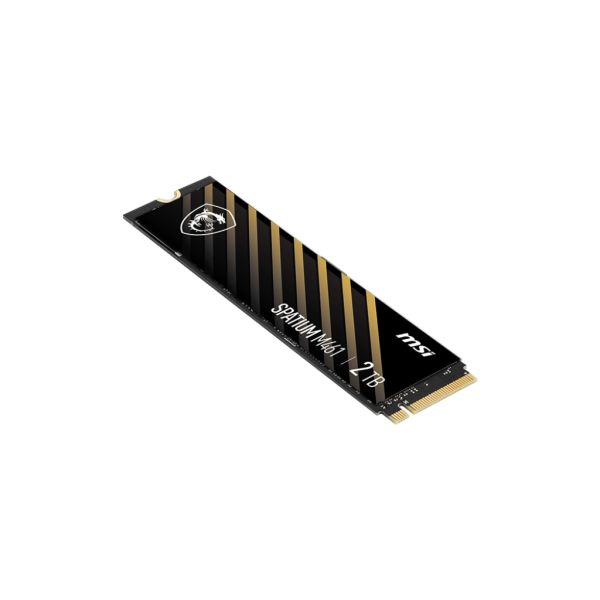 MSI S78-440Q550-P83 internal solid state drive 2 TB M.2 PCI Express 4.0 NVMe 3D NAND (SPATIUM M461 PCIE 4.0 NVME M.2 2TB)