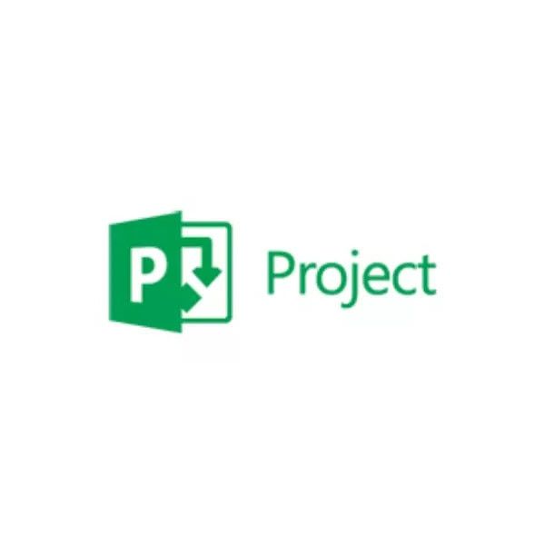 MicrosoftProjectProfessional SoftwareAssurance OLV 1License LevelD AdditionalProduct w/1ProjectSvrCAL 2Year Acquiredyear2 (H30-02387)