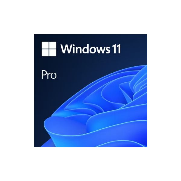 Microsoft Win Pro N FPP 11 64-bit Eng Intl EEA USB (HAY-00073)