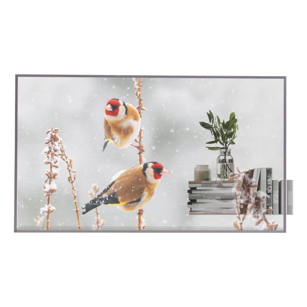 LG 55EW5P-M beeldkrant 139,7 cm (55") OLED 600 cd/m² Full HD Zilver Touchscreen 18/7 (55EW5P-M)