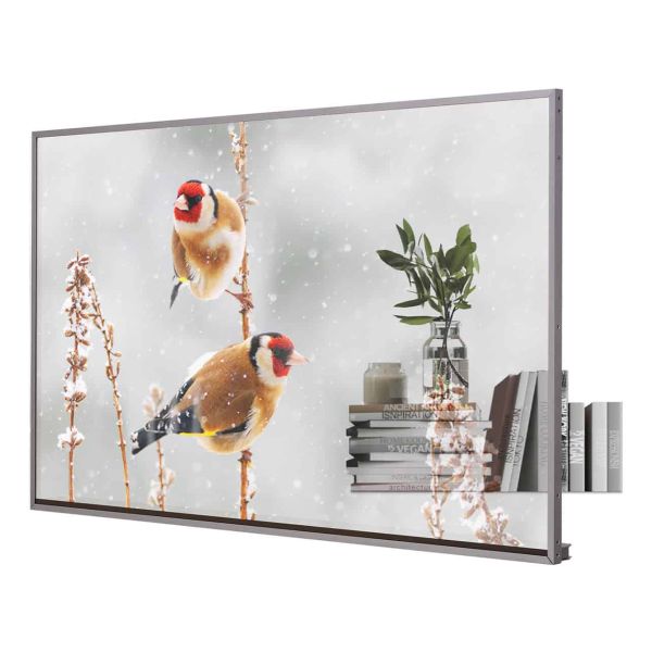 LG 55EW5P-M beeldkrant 139,7 cm (55") OLED 600 cd/m² Full HD Zilver Touchscreen 18/7 (55EW5P-M) LG 55EW5P-M beeldkrant 139,7 cm (55") OLED 600 cd/m² Full HD Zilver Touchscreen 18/7 (55EW5P-M)