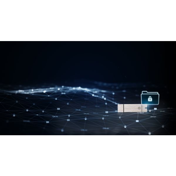 Kingston Technology IronKey 64GB Enterprise S1000 versleutelde USB 3.0 FIPS niveau 3, beheerd (IKS1000E/64GB)