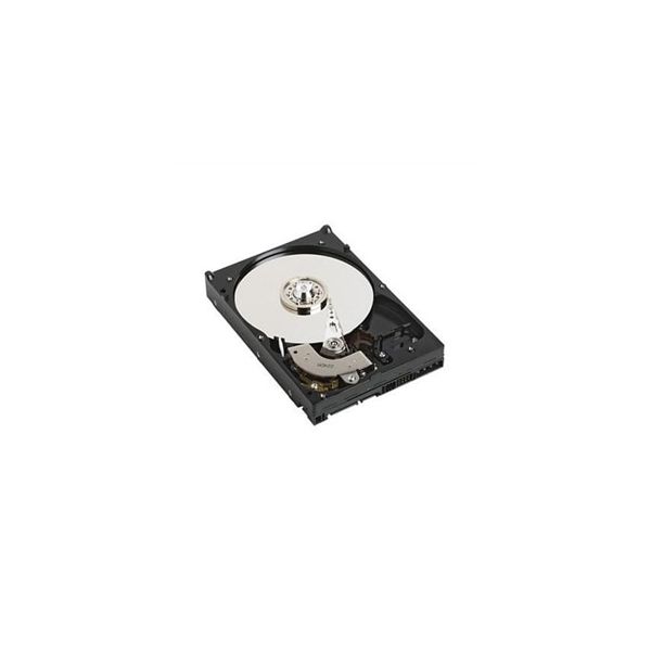 DELL 1TB SATA interne harde schijf 7200 RPM (400-ALEI)
