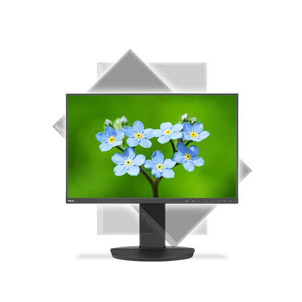 NEC MultiSync EA231WU-BK 57,1 cm (22.5") 1920 x 1200 Pixels WUXGA LED Zwart (60004781)