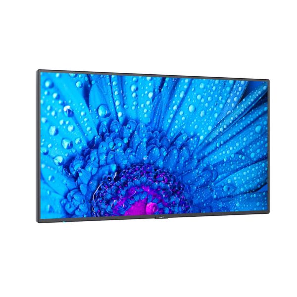 NEC MultiSync M491 Digitale signage flatscreen 124,5 cm (49") IPS 500 cd/m² 4K Ultra HD Zwart 24/7 (60005051)