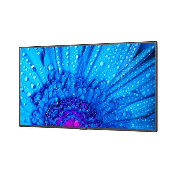 NEC MultiSync M551 Digitale signage flatscreen 139,7 cm (55") LCD 500 cd/m² 4K Ultra HD Zwart 24/7 (60005055)