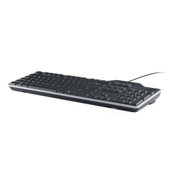 DELL KB813 toetsenbord Universeel USB QWERTY Amerikaans Engels Zwart (KB813-BK-US/EURO) DELL KB813 toetsenbord Universeel USB QWERTY Amerikaans Engels Zwart (KB813-BK-US/EURO)