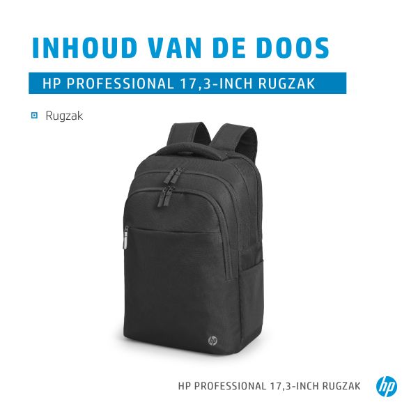 HP Professional 17,3-inch rugzak (500S6AA#ABB)