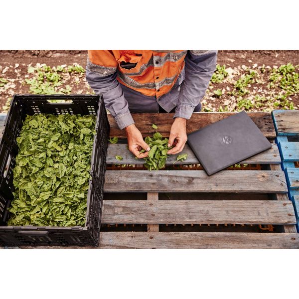 HP ProBook Fortis 14 G9 Intel® Pentium® Silver N6000 Laptop 35,6 cm (14") Full HD 4 GB DDR4-SDRAM 128 GB SSD Wi-Fi 6 (802.11ax) Windows 11 Pro Zwart (5N4J1EA#ABH)