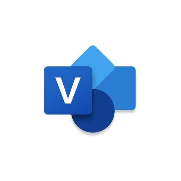 Microsoft Visio Standard 2021 Spaans Medialess (D86-05971)