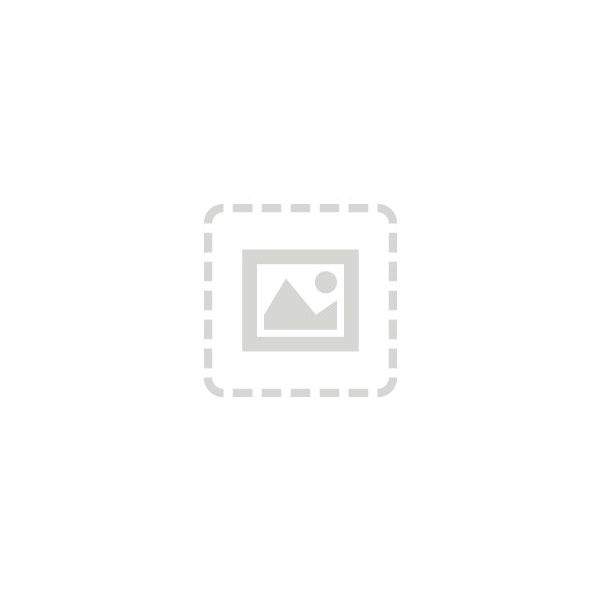 Microsoft Windows Server 2019 Standard Core Add-on (P73-07679)