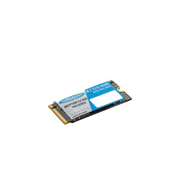 Origin Storage OTLC2563DNVMEM.2/42 internal solid state drive 256 GB M.2 PCI Express 4.0 NVMe 3D TLC (OTLC2563DNVMEM.2/42)
