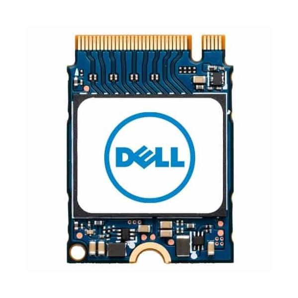 DELL SNP112233P/256G internal solid state drive 256 GB M.2 PCI Express NVMe (SNP112233P/256G)
