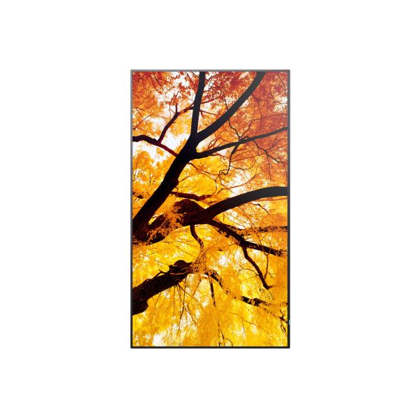Sharp MultiSync M502 Digitale signage flatscreen 127 cm (50") LCD 550 cd/m² 4K Ultra HD Zwart 24/7 (60006054)