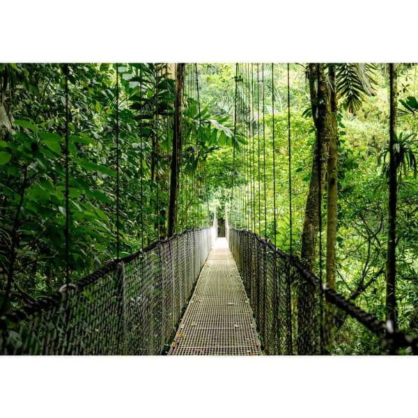 HP EliteBook 6 EB6G1i14 U5 225U 14 24GB/512 PC NL Copilot+ PC Intel Core Ultra 5 Laptop 35,6 cm (14") WUXGA DDR5-SDRAM 512 GB SSD Wi-Fi 7 (802.11be) Windows 11 Pro AI PC Zilver (AD4T4ET#ABH)