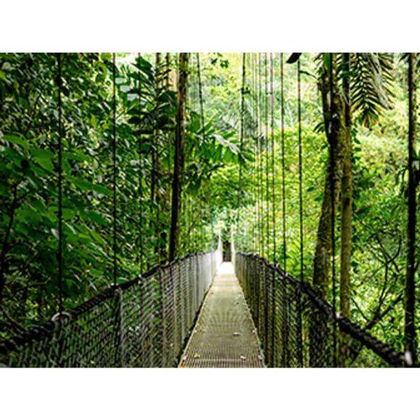 HP EB6G1i16 U7 265U 16 32GB/1T LTEA PC N Intel Core Ultra 7 40,6 cm (16") Touchscreen WUXGA DDR5-SDRAM Wi-Fi 7 (802.11be) Windows 11 Pro AI PC Zilver (CQ0C7EA#ABH)