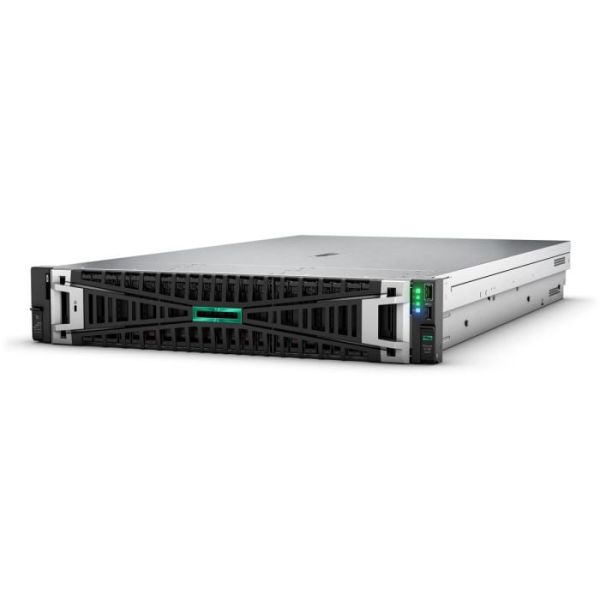 HPE ProLiant DL380 Gen11 24SFF NC (P52535-B21)