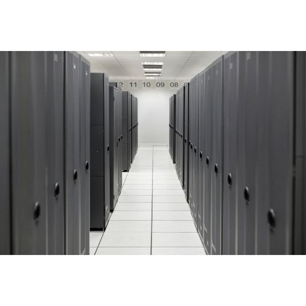 HPE ProLiant DL325 Gen12 1U Server (P81954-B21)