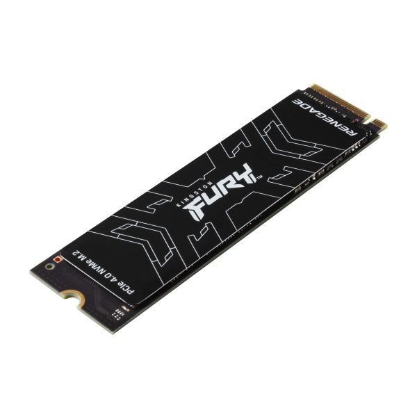 Kingston Technology 500G FURY RENEGADE M.2 2280 NVMe SSD (SFYRS/500G)