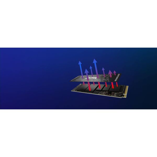 Kingston Technology 500G FURY RENEGADE M.2 2280 NVMe SSD (SFYRS/500G)