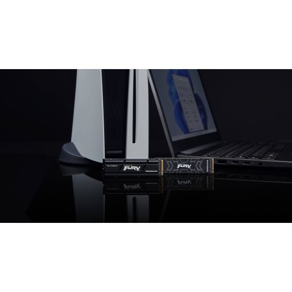 Kingston Technology 500G FURY RENEGADE M.2 2280 NVMe SSD (SFYRS/500G)