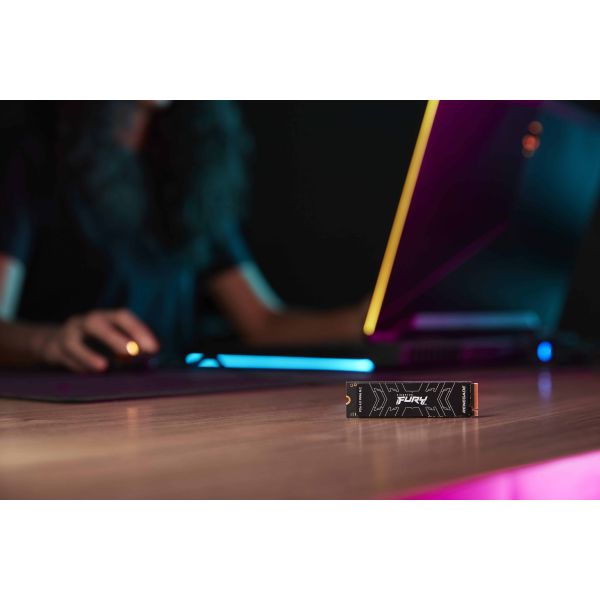 Kingston Technology 500G FURY RENEGADE M.2 2280 NVMe SSD (SFYRS/500G)