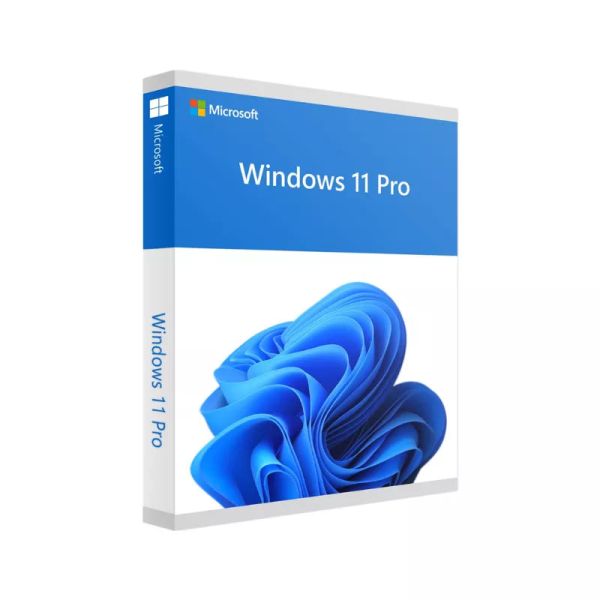 Microsoft Windows 11 Pro 64-bit EN DVD (FQC-10528 KIT)