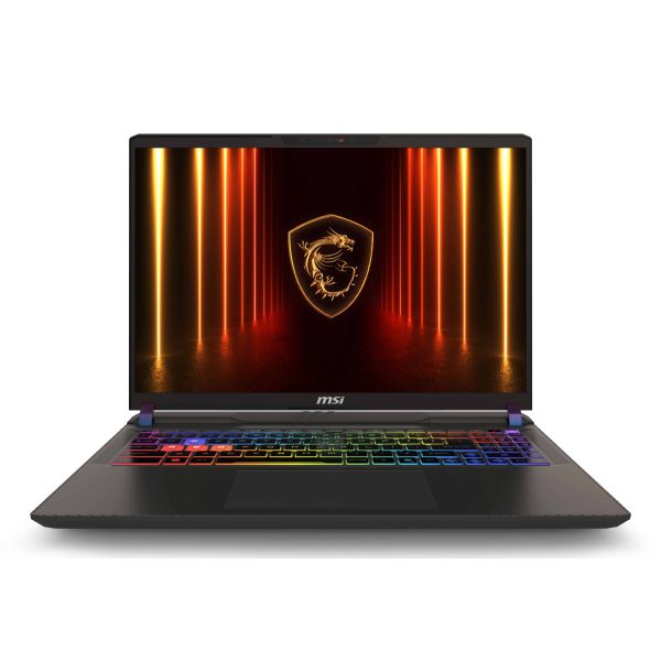 MSI Vector 16 HX AI A2XWHG-674NL Intel Core Ultra 7 255HX Laptop 40,6 cm (16") Quad HD+ 32 GB DDR5-SDRAM 1 TB SSD NVIDIA GeForce RTX 5070 Ti Wi-Fi 6E (802.11ax) Windows 11 Home Grijs (9S7-15M352-674)