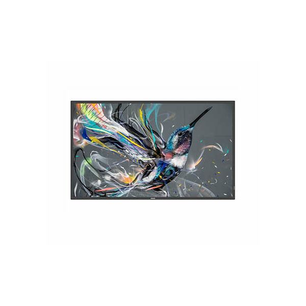 Philips 65BDL3650QE/00 beeldkrant Digitale signage flatscreen 165,1 cm (65") LCD Wifi 300 cd/m² 4K Ultra HD Zwart Type processor Android 10 18/7 (65BDL3650QE/00)