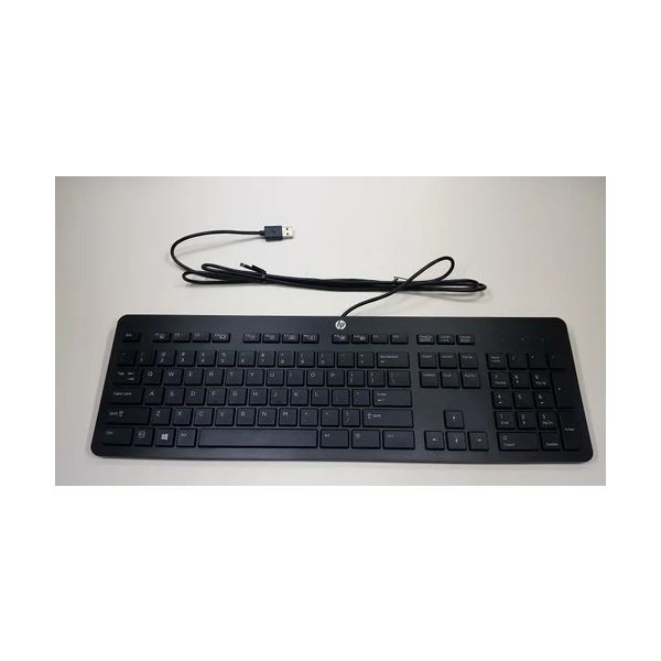 HP USB Toetsenbord Halley (P10674-DF1)