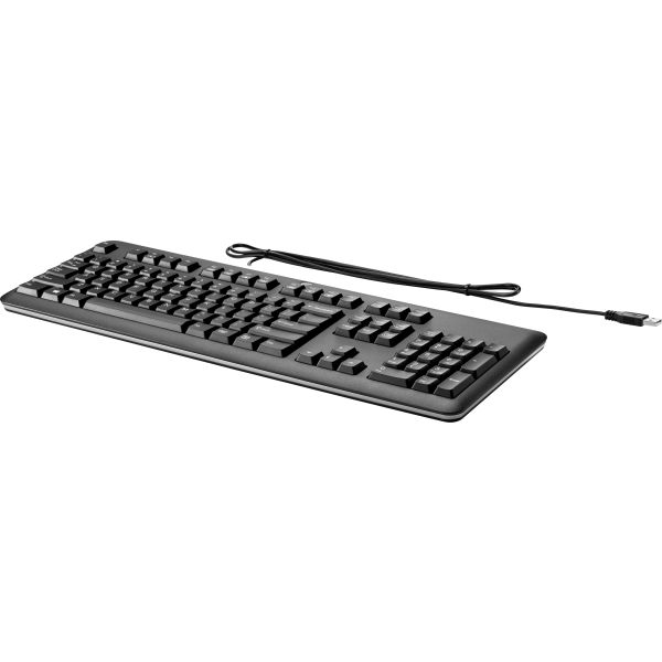 HP USB-toetsenbord voor pc (QY776AA)