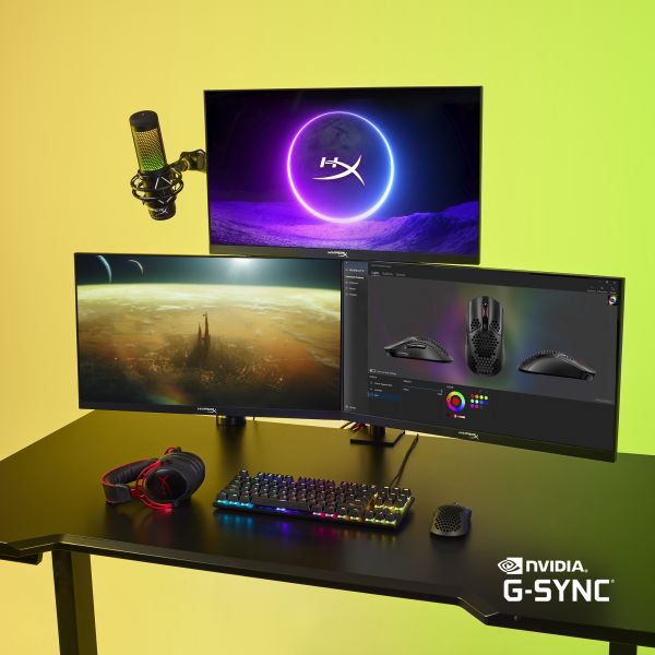 HyperX Armada 25 FHD Gaming Monitor (64V61AA#ABB)