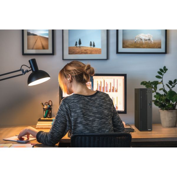 ASUS ExpertCenter P500 SFF P500SV-05210H033X Intel Core 5 210H 16 GB DDR5-SDRAM 512 GB SSD Windows 11 Pro PC Grijs (90PF05A1-M00U20)