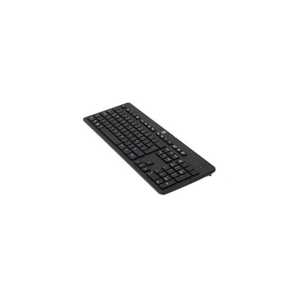 HP USB Wired Keyboard Slovenian (L21478-231)