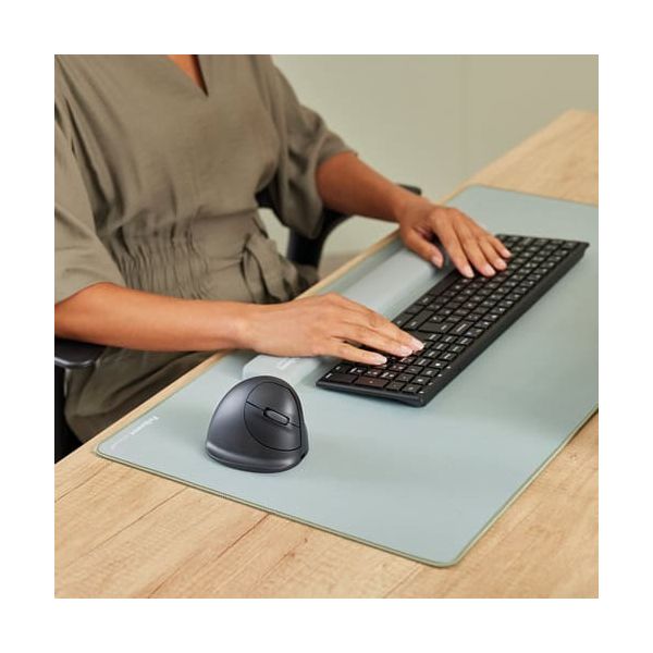 Fellowes 100143580 muis Universeel Rechtshandig Bluetooth + USB Type-C Optisch 2400 DPI (100143580)