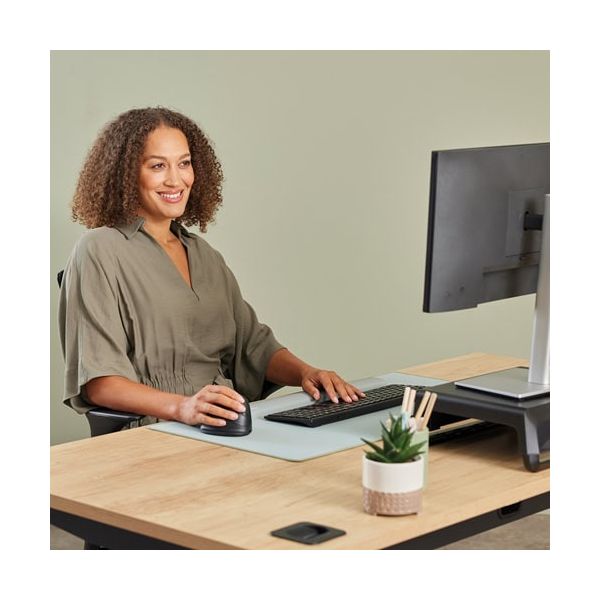 Fellowes 100143581 muis Universeel Rechtshandig Bluetooth + USB Type-C Optisch 2400 DPI (100143581)