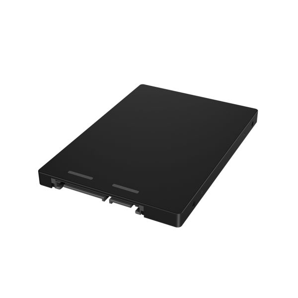 ICY BOX IB-M2S253 SDD-behuizing Zwart M.2 (IB-M2S253)