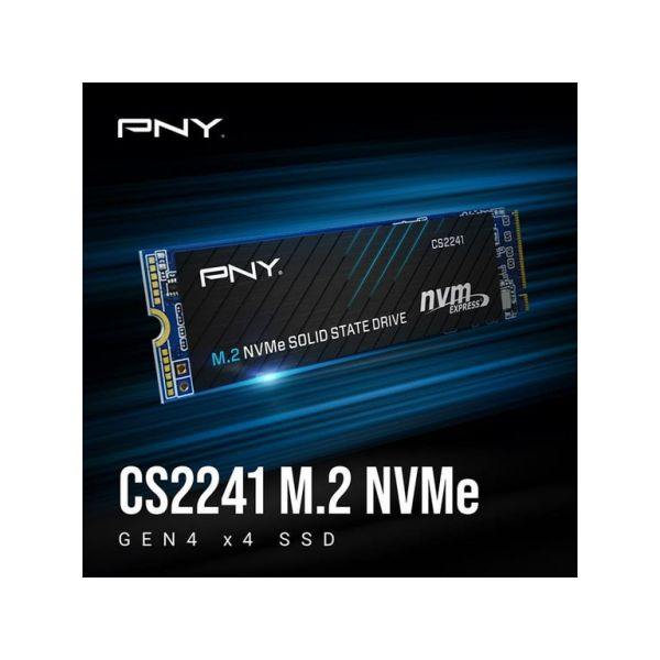 PNY CS2241 1TB M.2 NVMe Gen4 (M280CS2241-1TB-RB)