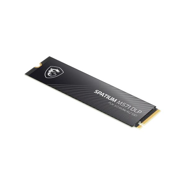 MSI SPATIUM M571 DLP PCIe 5.0 NVMe M.2 2TB PCI Express 5.0 3D NAND (S78-440Q1K0-P83)