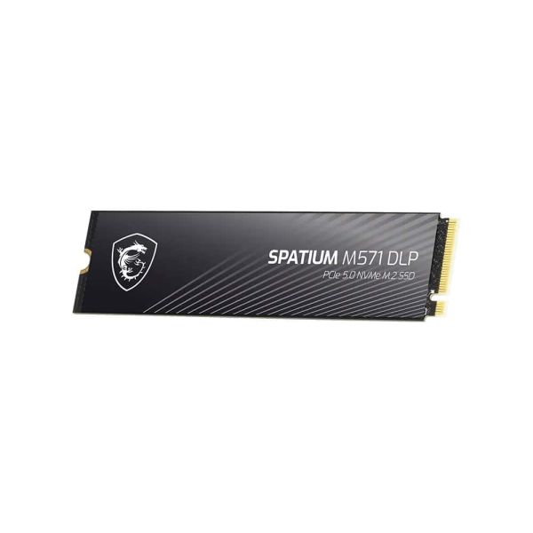 MSI SPATIUM M571 DLP PCIe 5.0 NVMe M.2 2TB PCI Express 5.0 3D NAND (S78-440Q1K0-P83)