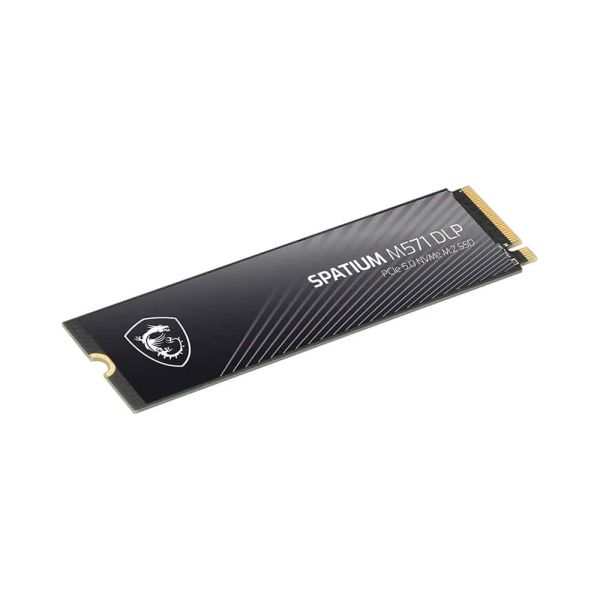 MSI SPATIUM M571 DLP PCIe 5.0 NVMe M.2 4T internal solid state drive 4 TB PCI Express 5.0 3D NAND (S78-440R220-P83)