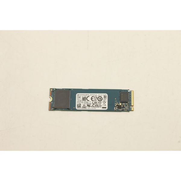 Lenovo SSD 256GB M.2 2280 PCIe (5SS0V26424)