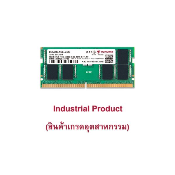 Transcend TS5600ASE-32G - 32 GB - 2 x 16 GB - DDR5 - 5600 MHz - 262-pin SO-DIMM (TS5600ASE-32G)