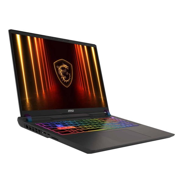 MSI Vector 16 HX AI A2XWHG-256PL Intel Core Ultra 7 255HX Laptop 40,6 cm (16") Quad HD+ 16 GB DDR5-SDRAM 1 TB SSD NVIDIA GeForce RTX 5070 Ti Wi-Fi 7 (802.11be) Windows 11 Home Grijs (A2XWHG-256PL)