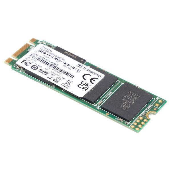 Transcend MTS602M - SSD - 256 GB - internal - M.2 2260 (double-sided) (TS256GMTS602M)