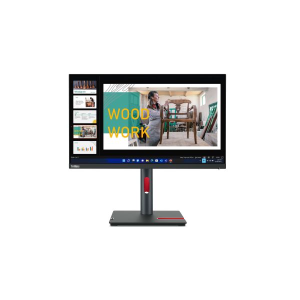 Lenovo ThinkVision P24q-30 computer monitor 60,5 cm (23.8") 2560 x 1440 Pixels Quad HD LED Zwart (63B4GAR6EU)