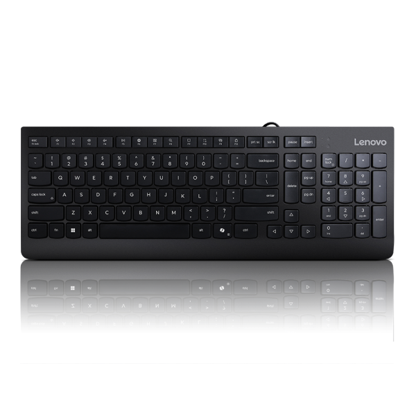 Lenovo 300/Drátová USB/CZ-Layout/Èerná (GX30M39663)