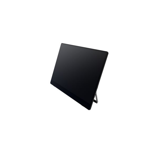 Ricoh Draagbare monitor 150 (514909)