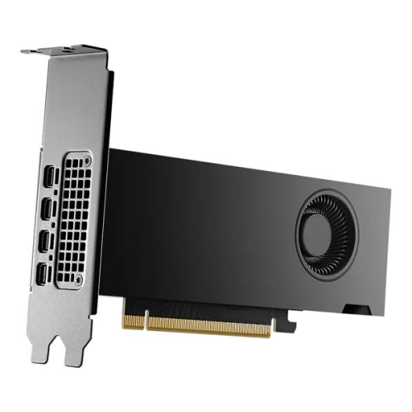 Dell NVIDIA RTX 2000 (490-BKKX)